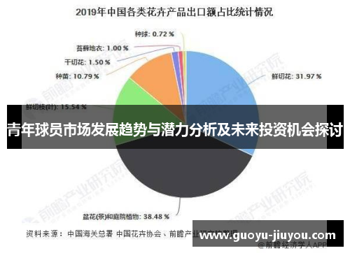 青年球员市场发展趋势与潜力分析及未来投资机会探讨 青年球员市场发展趋势与潜力分析及未来投资机会探讨