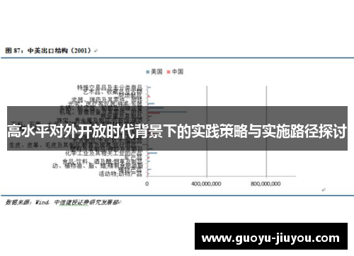 高水平对外开放时代背景下的实践策略与实施路径探讨